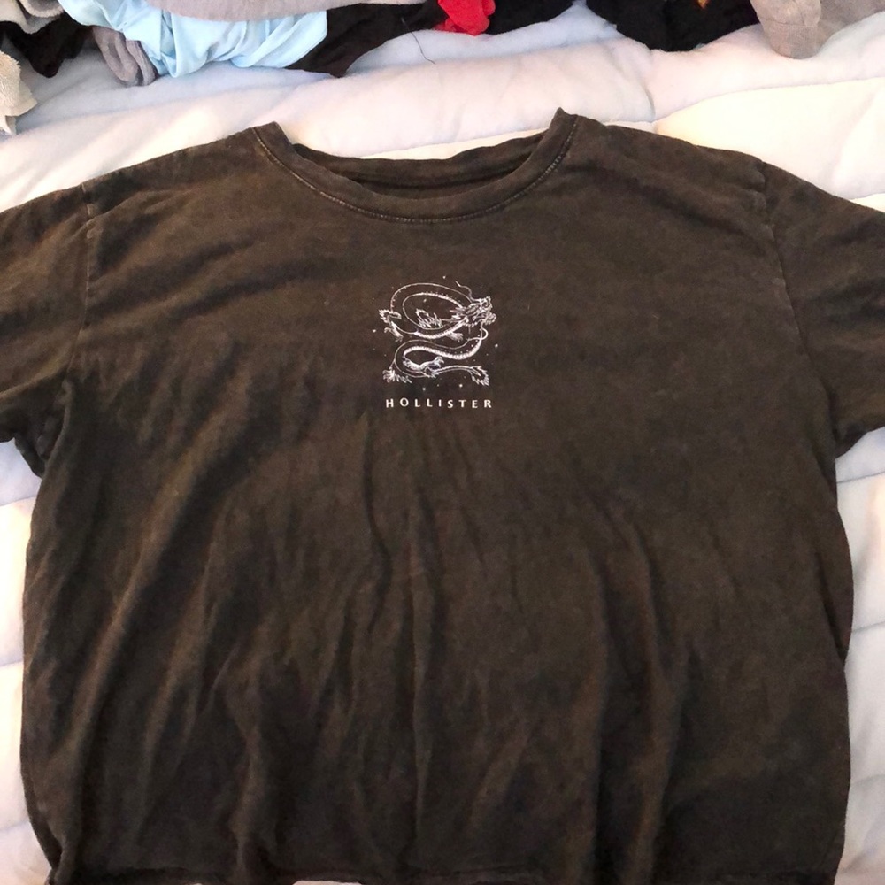 Cute Dragon Hollister T-shirt